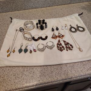 Elegant Silver and Black Dangle Earrings